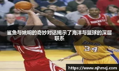 鲨鱼与姚明的奇妙对话揭示了海洋与篮球的深层联系